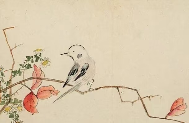 花卉册