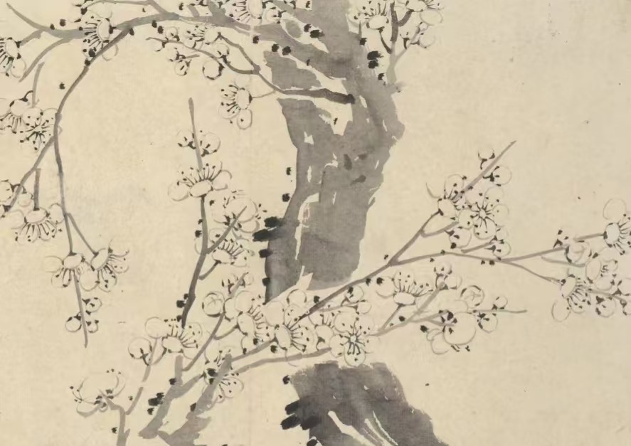 梅花图册