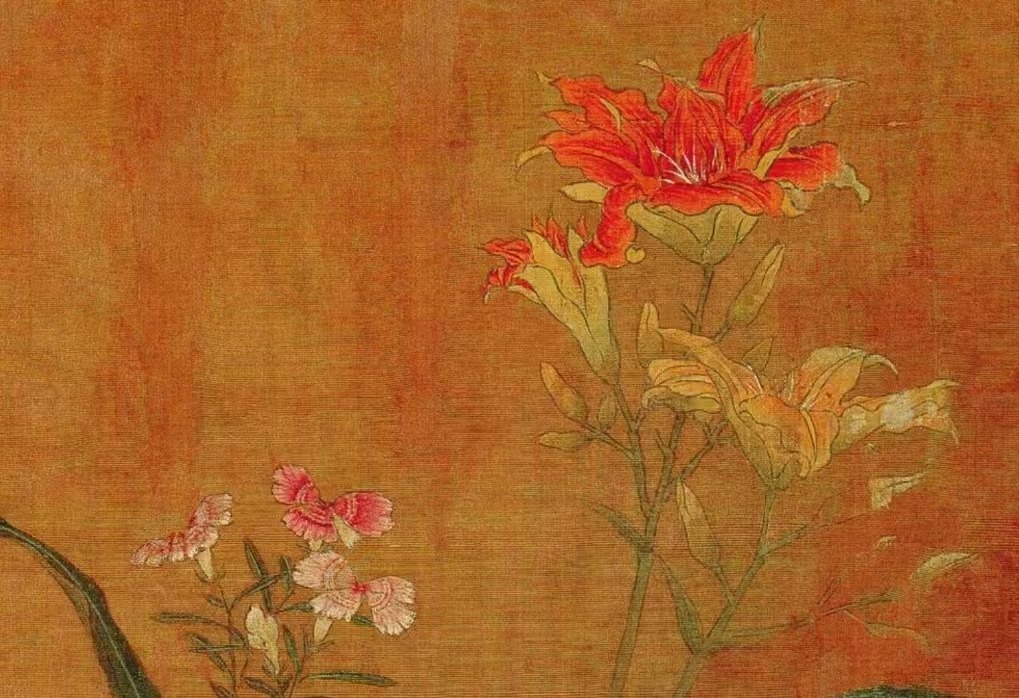 花卉写生图册
